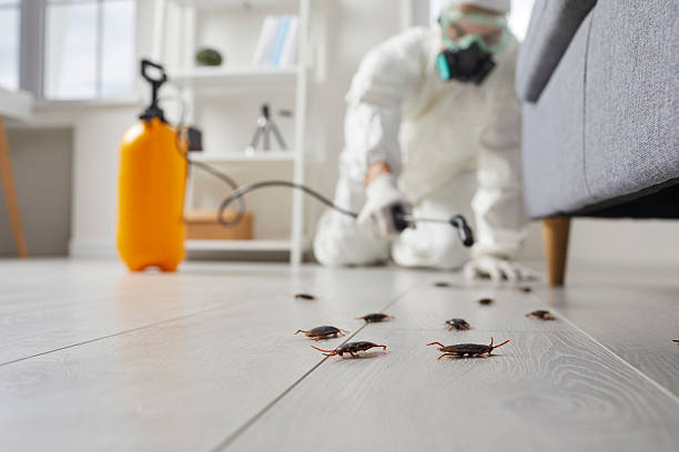 Post-Treatment Bed Bug Interceptor Monitoring in Dane