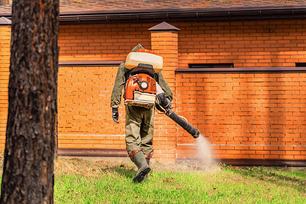 Bed Bug Clearance Verification and Documentation in Dane